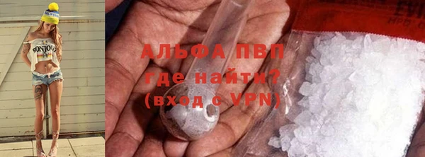 гидра Алексин