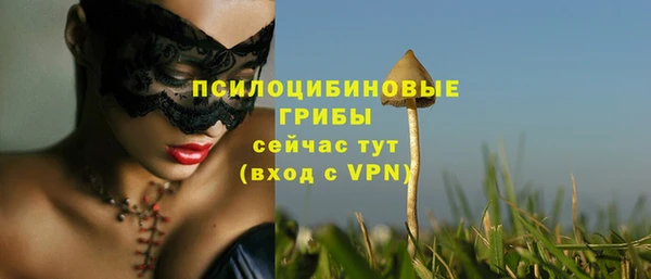 MDMA Алзамай